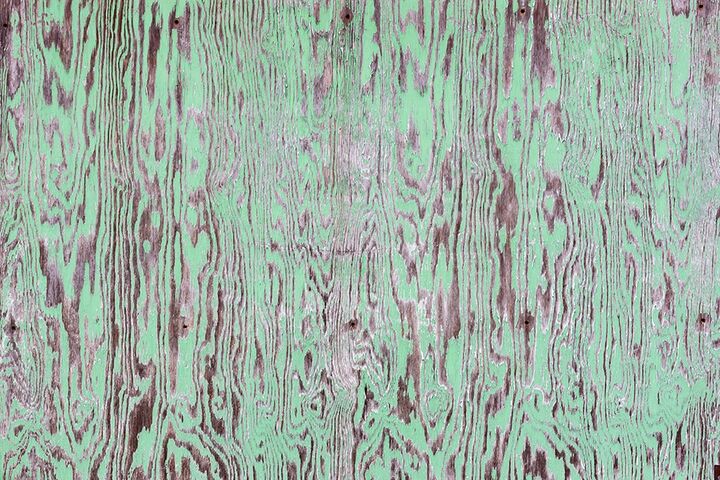 Green Painted Wooden Wall