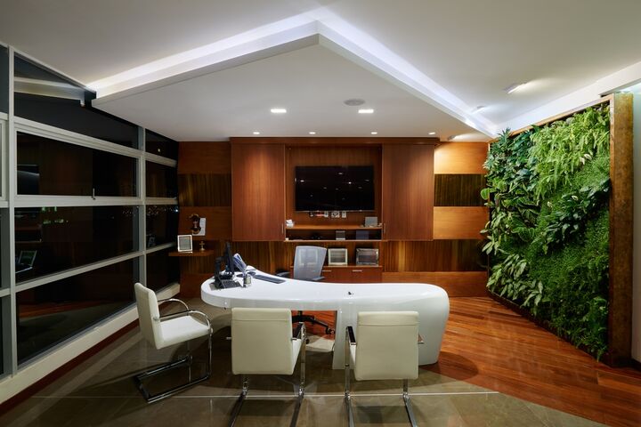 Indoor vertical gardens can provide us with many benefits. This article will provide you with the information that you need about vertical gardens.