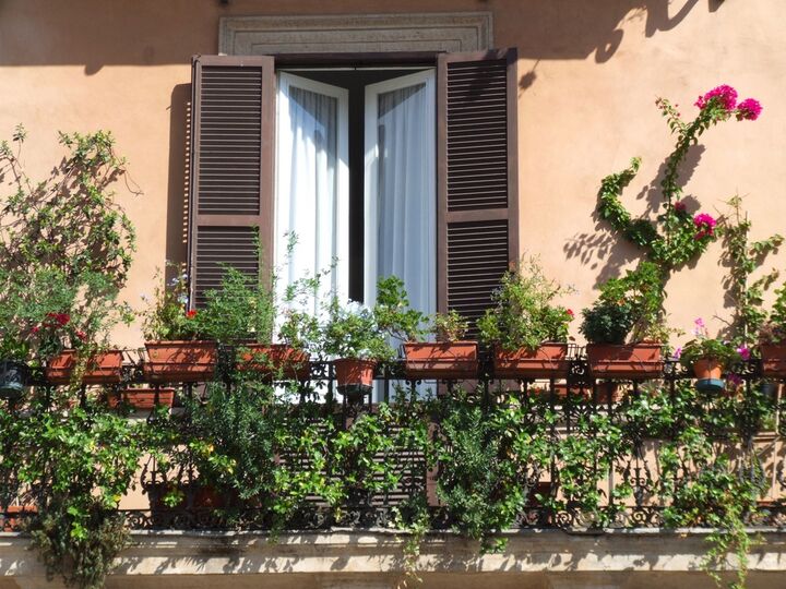 Kräuter und Gewürze sind ausgezeichnete Gartenpflanzen, um sie auf dem Balkon wachsen zu lassen. Nicht nur, dass Sie einen schönen Balkon haben werden, Sie werden auch Ihre eigenen Kräuter und Gewürze haben, die Sie nicht mehr vom Markt holen müssen.