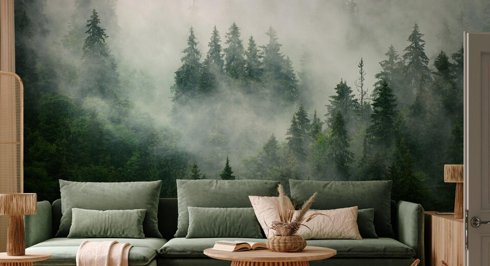 Forests & Woodlands—high-quality wall murals—Photowall