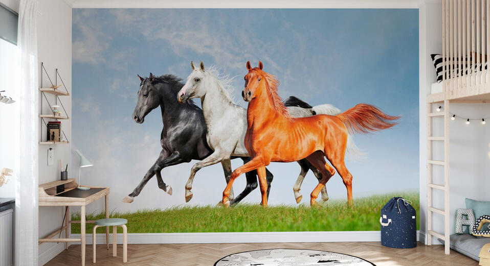 Horses – unique wall murals – Photowall