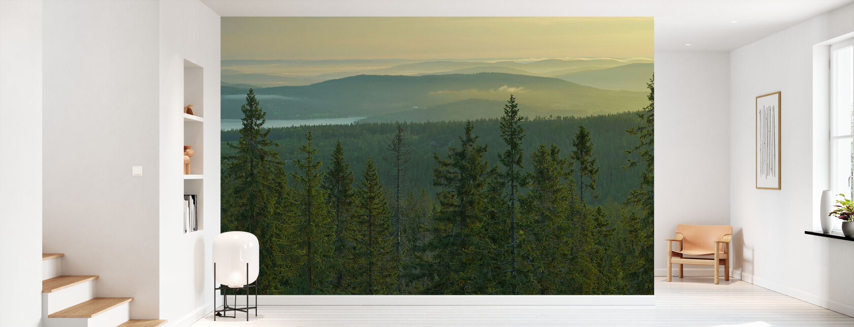 Kuusen Topit Skuleskogenin kansallispuistossa, Ruotsi - Tapetti - Aula