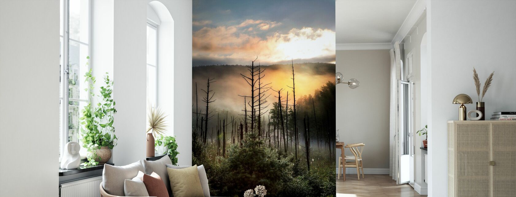 Vermont Swamp at Sunrise - Wallpaper - Living Room