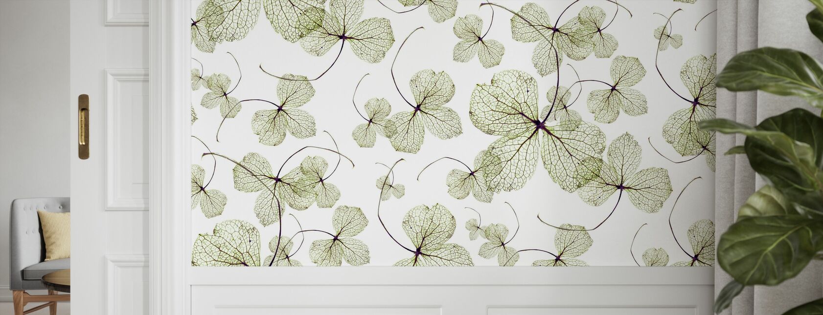 Hydrangea Green - Wallpaper - close-up