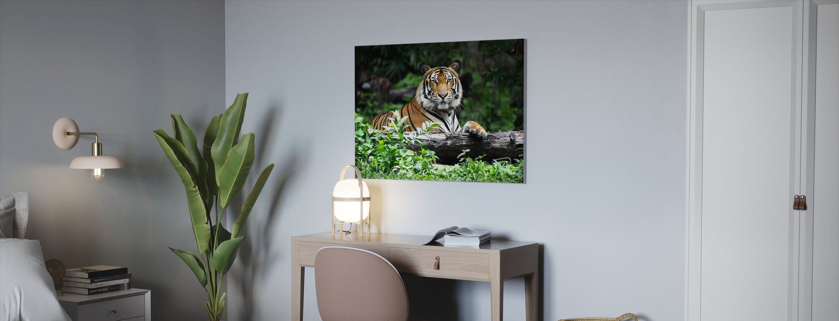 Bengal Tiger - Billede på lærred - Kontor