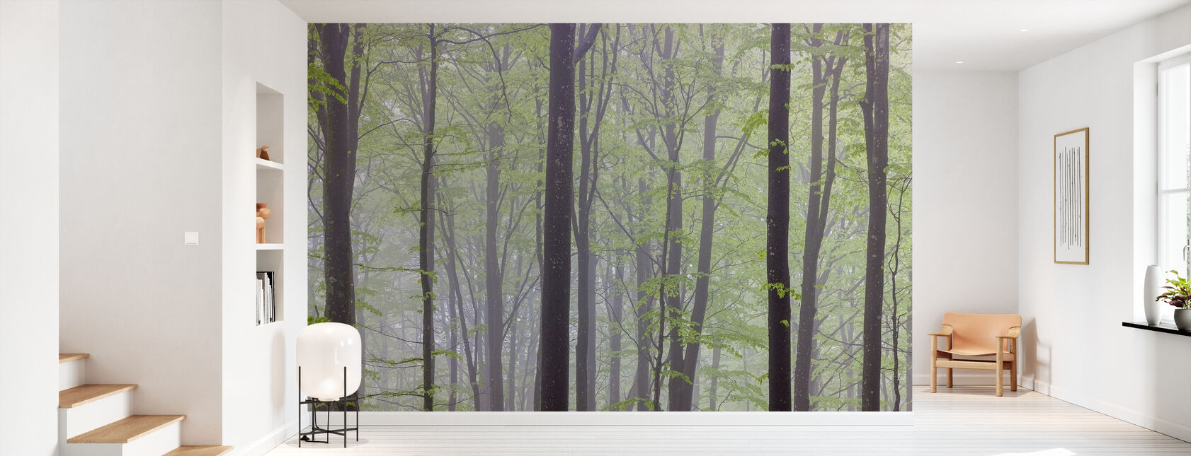 Forêt de hêtres brumeux - Papier peint - Entrée