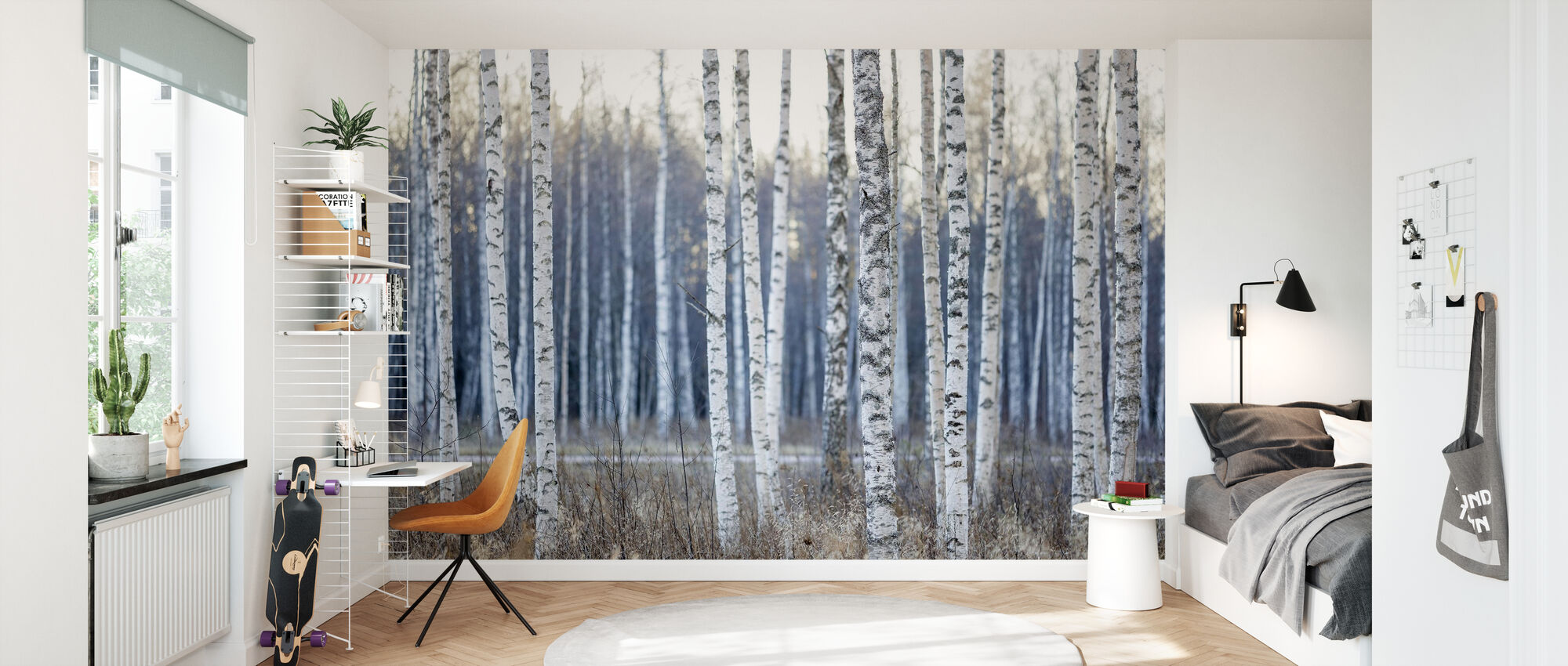 Birch Tree – wall murals online – Photowall