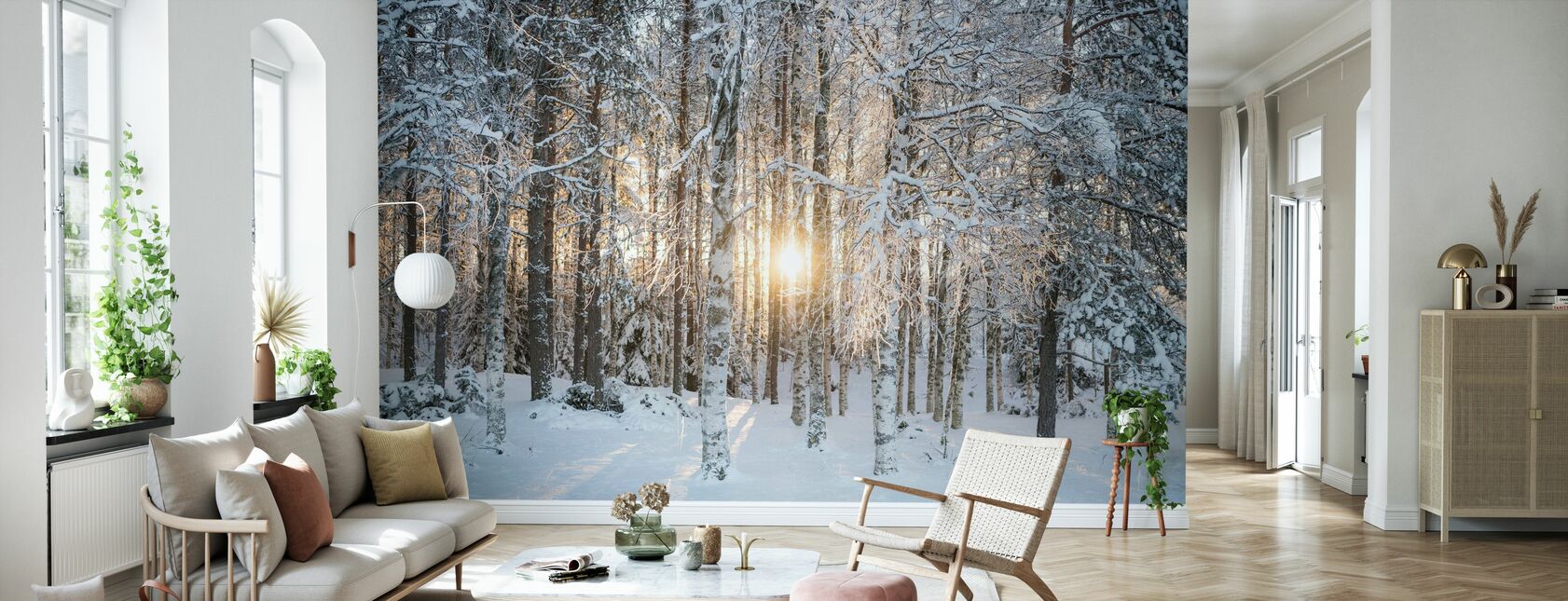 Birches de invierno - Papel pintado - Salón