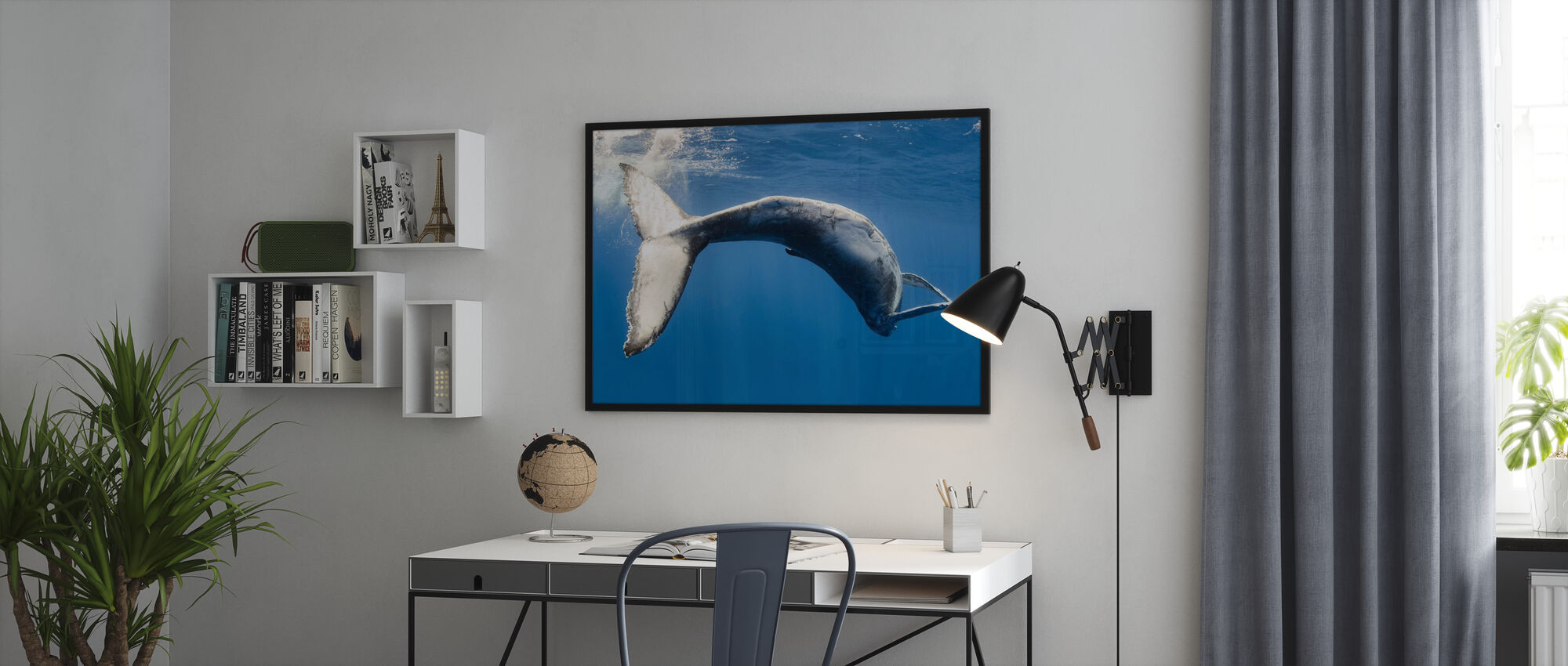 Humpback Whale - Popular Poster - Photowall