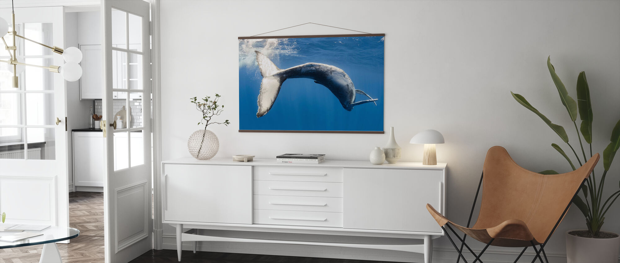 Whale Humpback - Photowall Popular - Poster