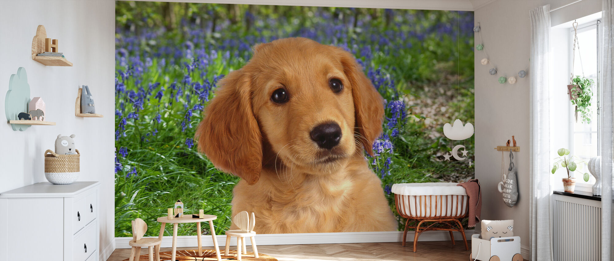 Lab Puppy – made-to-measure wall mural – Photowall