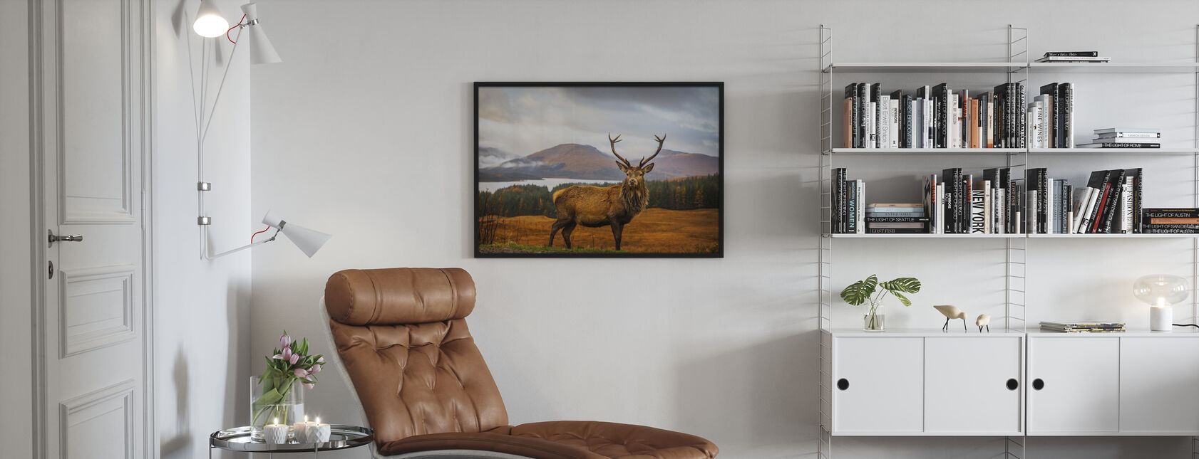 Skotsk hjort - Plakat - Stue