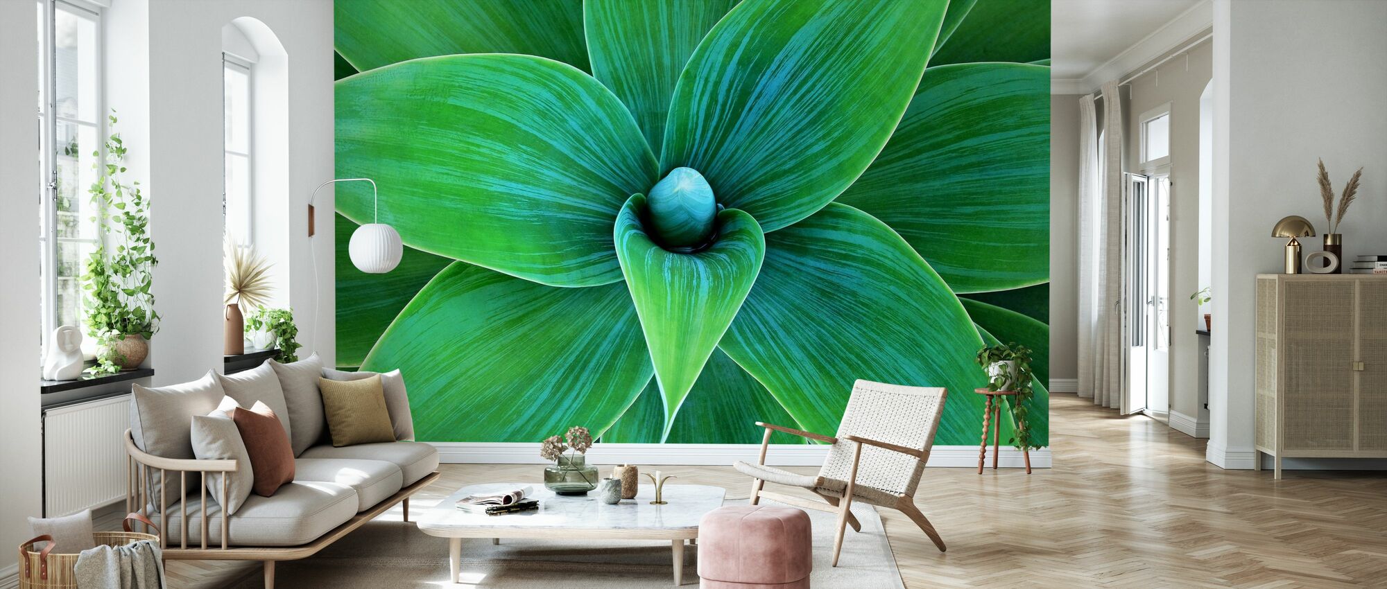 Agave Plant – wunderbare Fototapete – Photowall