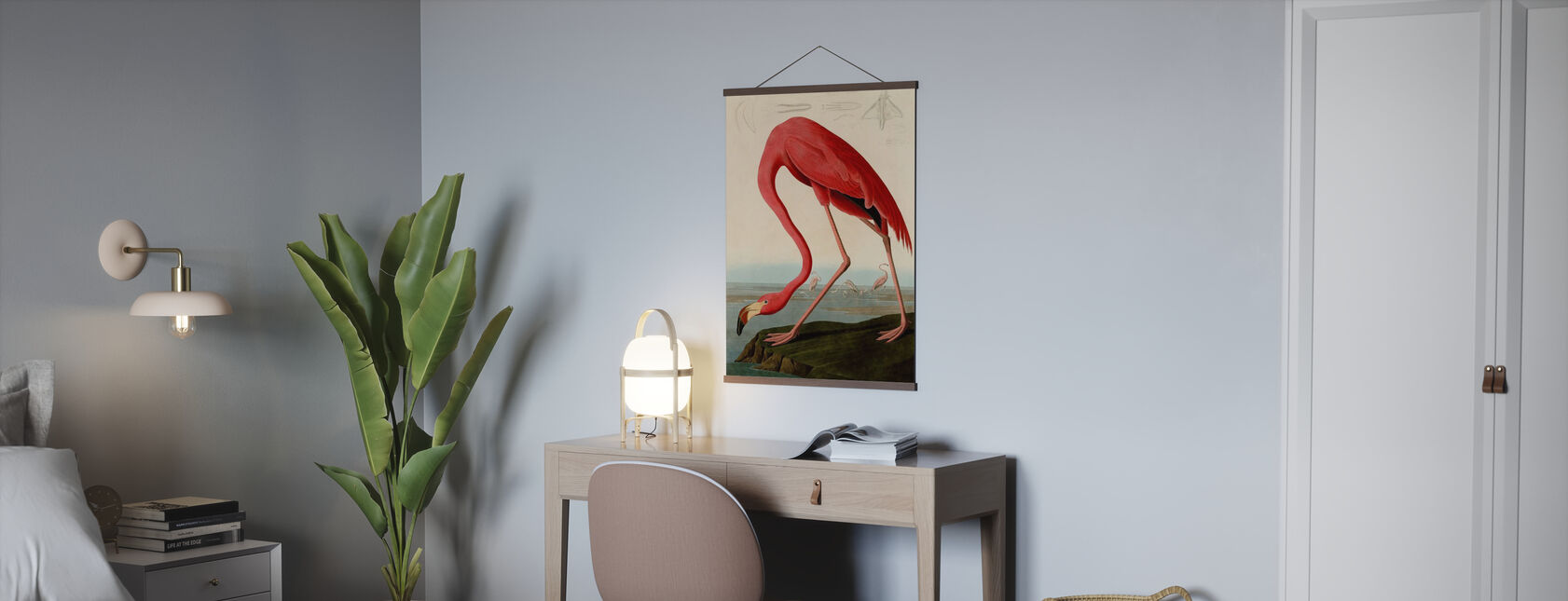 American Flamingo - John James Audubon - Poster - Office