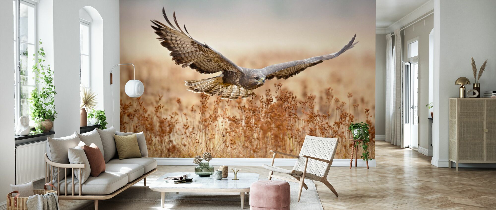 Details about  / Paper Wall Mural Photo Wallpaper Poster Picture Image Buzzard