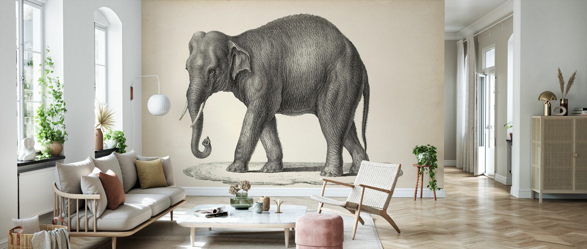Brodtmann Elephant – elegant wall mural – Photowall