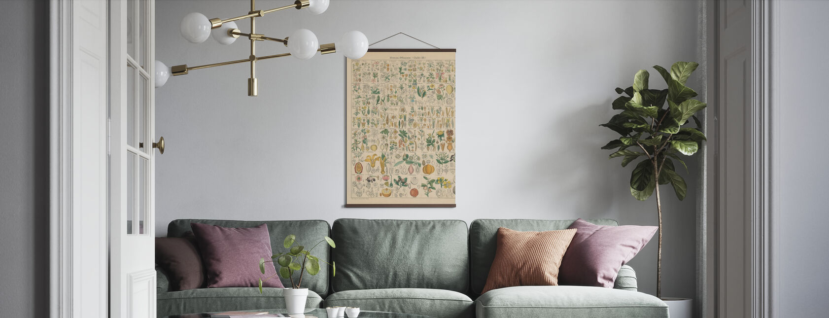 Flora Chart - Poster - Living Room