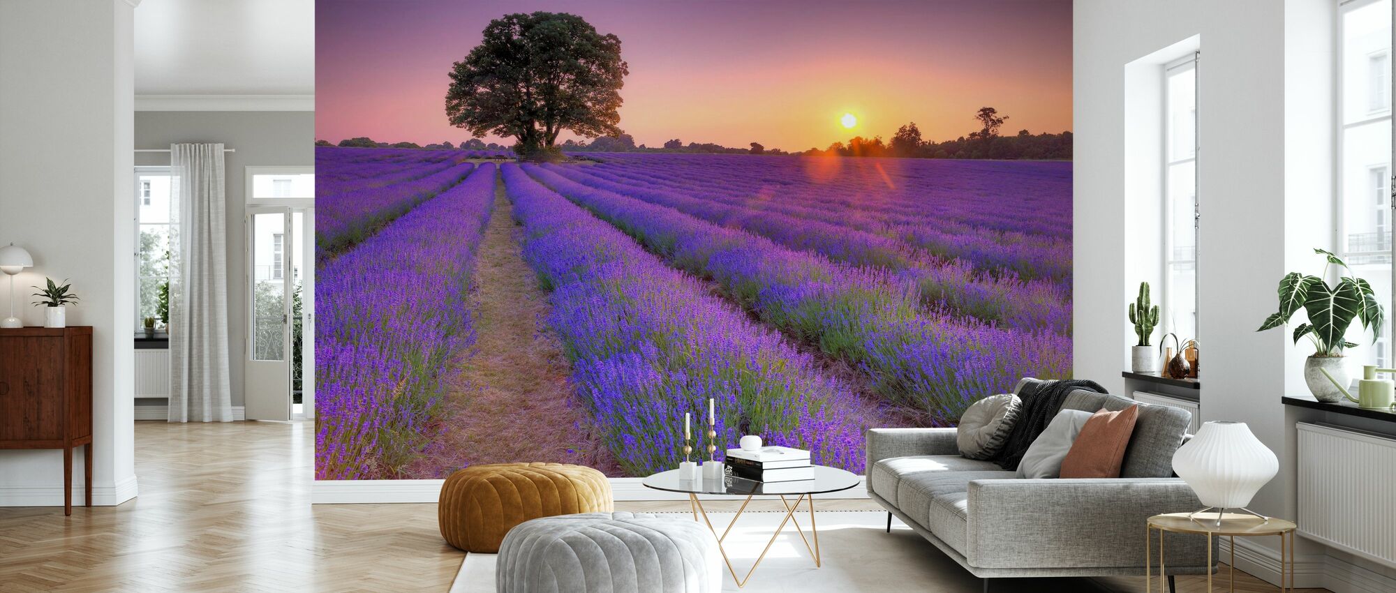 Lavender – trendige Fototapete – Photowall