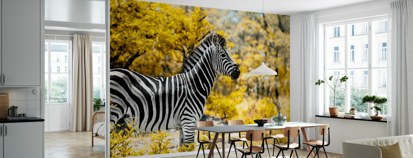 Impressionnant Afrique du Sud - Burchell's Zebra - Papier peint - Cuisine