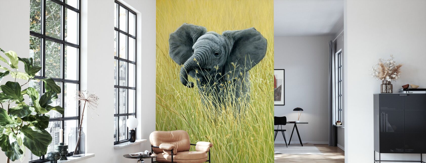 Elefant im Gras - Tapete - Wohnzimmer