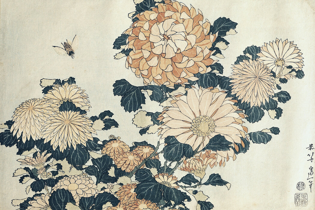 Chrysanthemums, Katsushika Hokusai – high-quality wall murals with free  shipping – Photowall