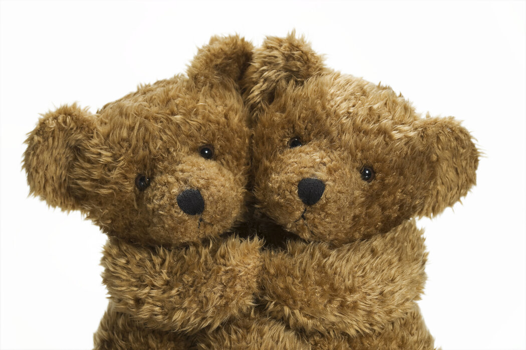 Cuddling Teddy Bears – affordable wall 
