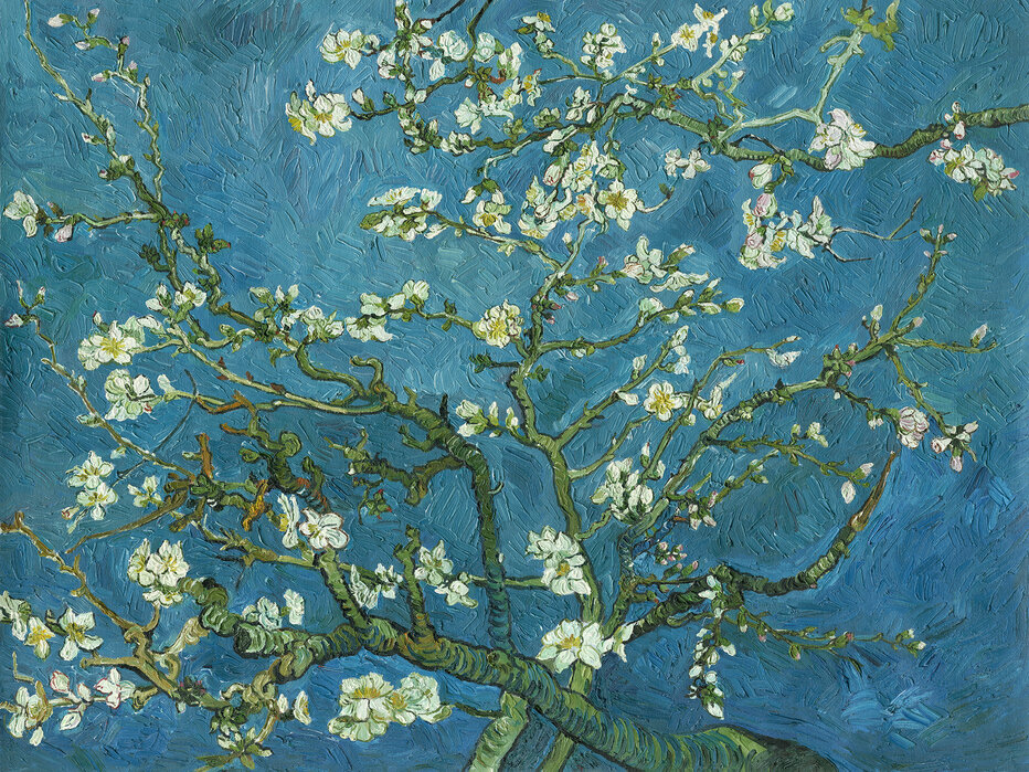 Almond Blossom – canvas print for all settings – Photowall