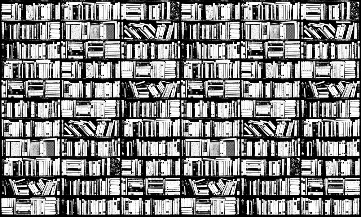 Bookshelf Graphic Black White Decorate With A Wall Mural Photowall