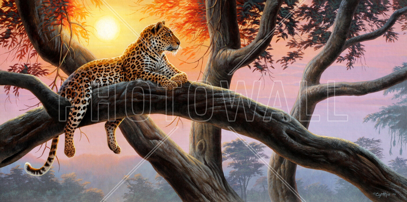 Evening Watch - Leopard – wunderbares Leinwandbild – Photowall