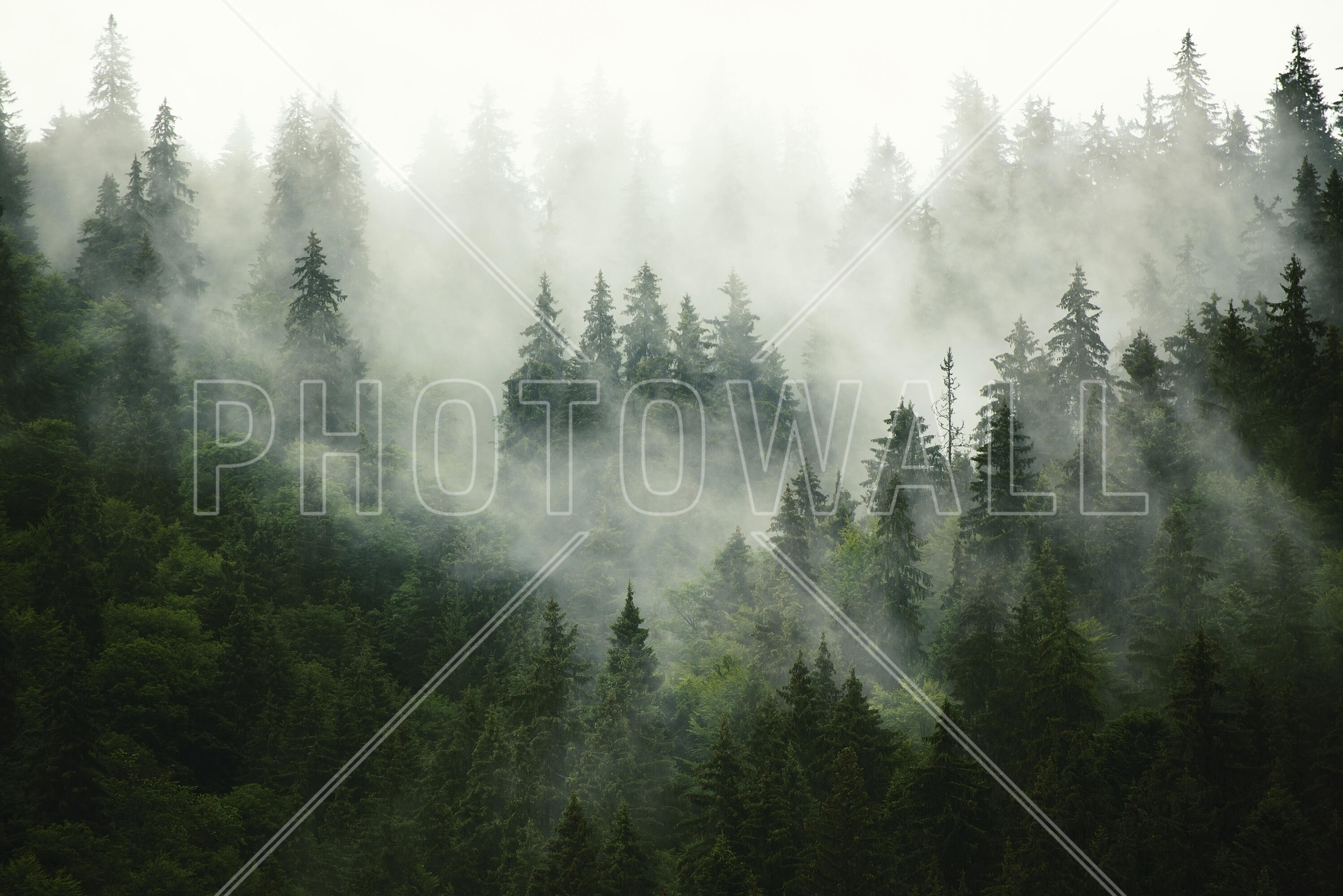 Featured image of post Nordic Forest Wallpaper 4K Pikbest has 847 nordic forest design images templates for free