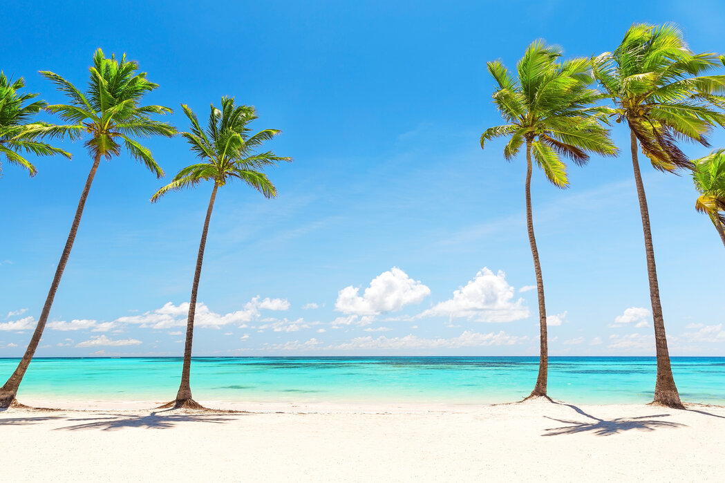 Palm Trees on white Beach
