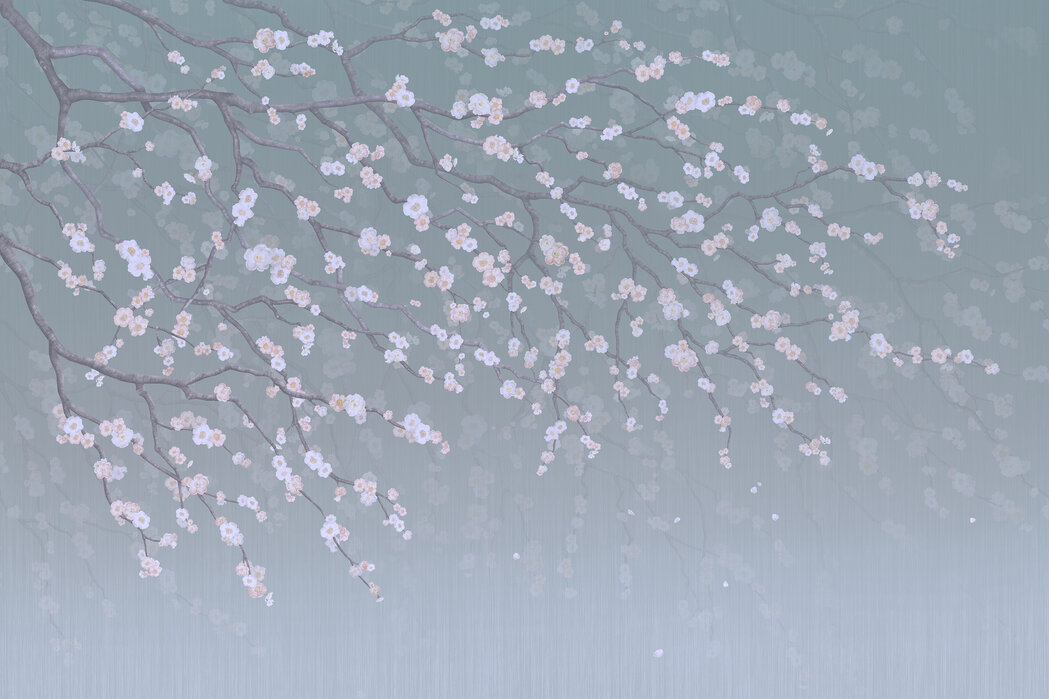 Free Japanese Cherry Blossom Smartphone Wallpapers — Barrettish