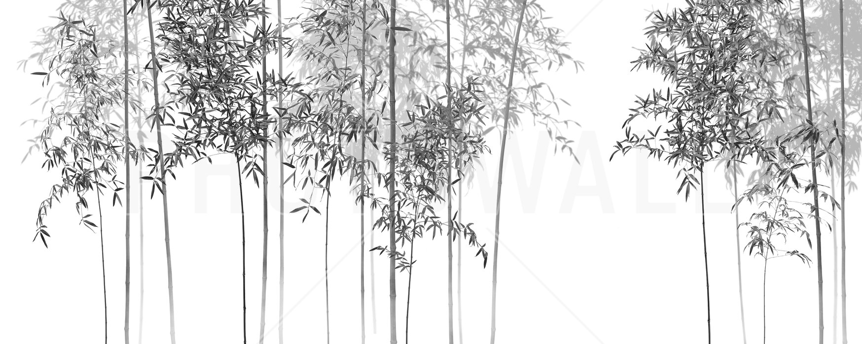Bamboo Trees View - bw – decorate with a wall mural – Photowall
