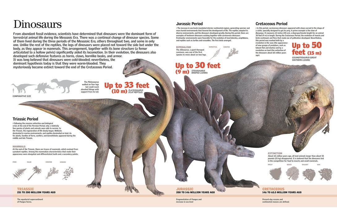 Dinosaurs - Trendy Poster - Photowall