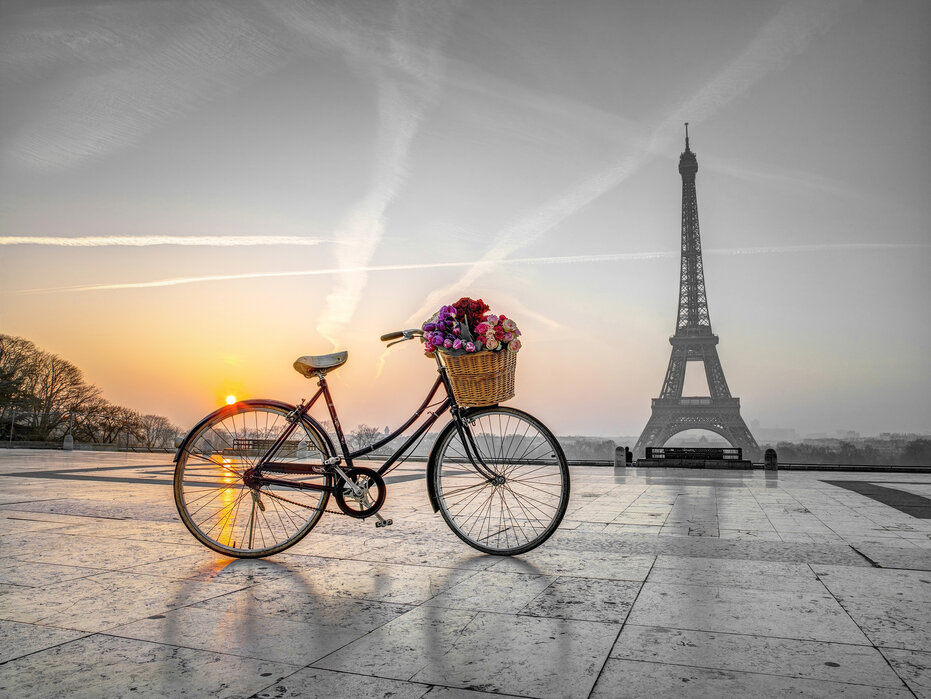 Bicycle Paris – delightful wall mural – Photowall