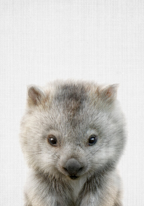 Endangered Wombat Wallpaper - Buy Floral & Botanical Themed Wallpaper By  Victoria McGrane for Urban
