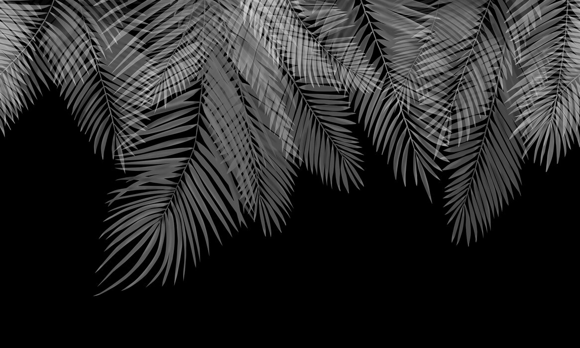 Hanging Palm Leaves - Black-White – lovely wall mural – Photowall