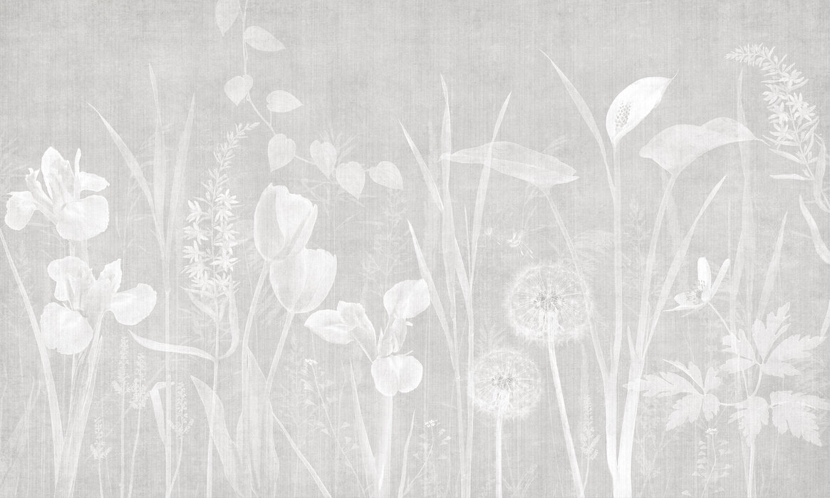 Photo sur toile Image Tableau Impression 100x50 Floral Pissenlit 