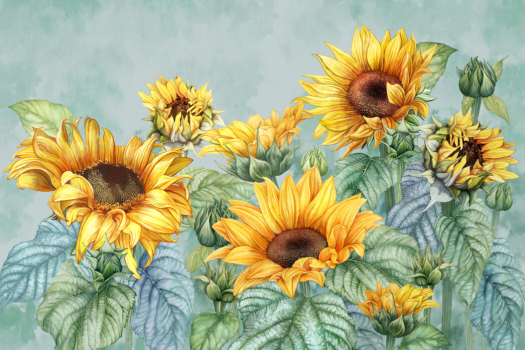 Canvas Picture art print 100x50 Picture Flowers & Plants Sunflowers 
