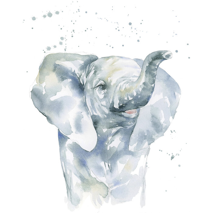 Baby Elephant - surprendre avec une impression sur toile - Photowall