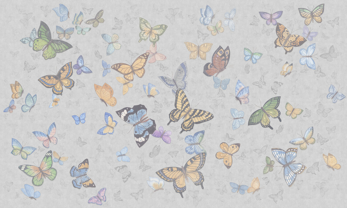 Butterfly Wings - Grey – trendy wall mural – Photowall